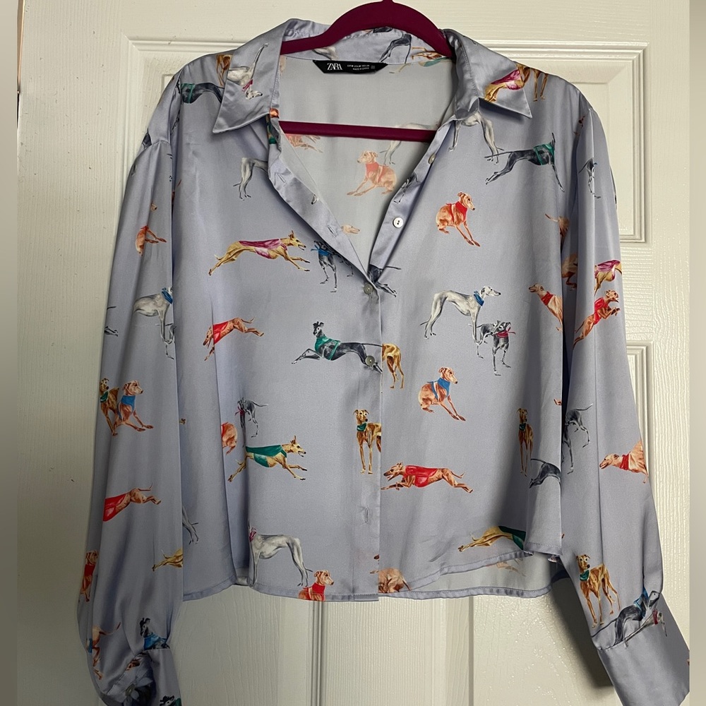Zara Button Up